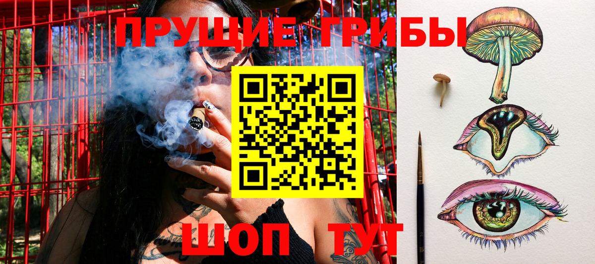 Псилоцибиновые грибы мухоморы Чехов