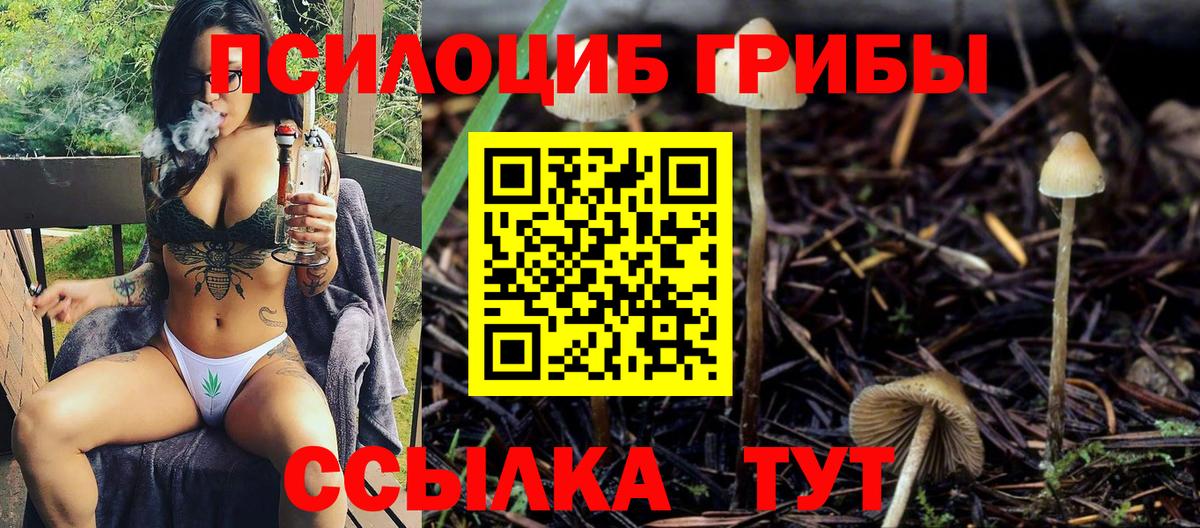 Чехов  Псилоцибиновые грибы Magic Shrooms  Вход с VPN 